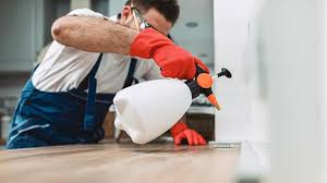 Best Commercial Pest Control  in Woodsville, NH